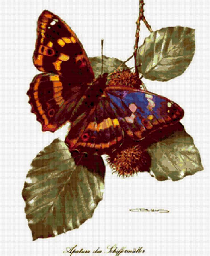 №319300 - ветка, дерево, листья, бабочка - предпросмотр