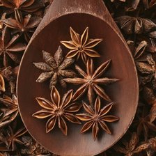 Схема вышивки «бадьян»