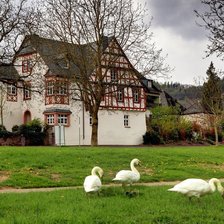 Схема вышивки «№319517»