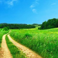 Схема вышивки «пейзаж»