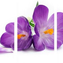 Схема вышивки «Сиреневые лепестки»