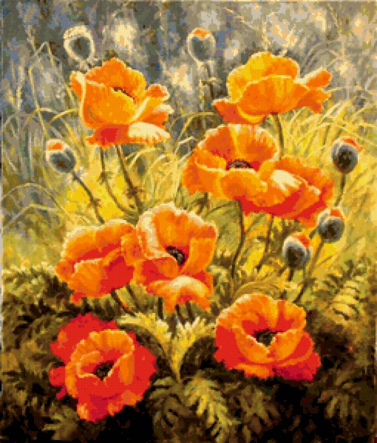 маки - цветы - предпросмотр