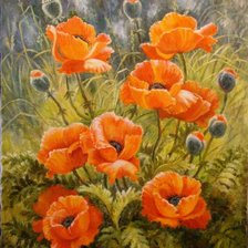 Схема вышивки «маки»