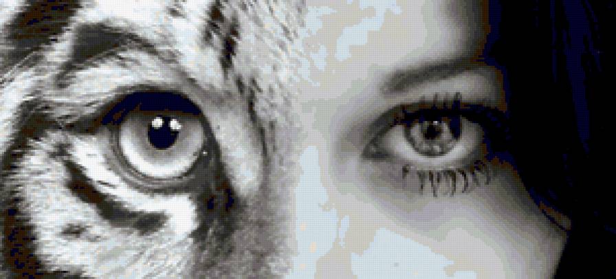 She Cat - предпросмотр