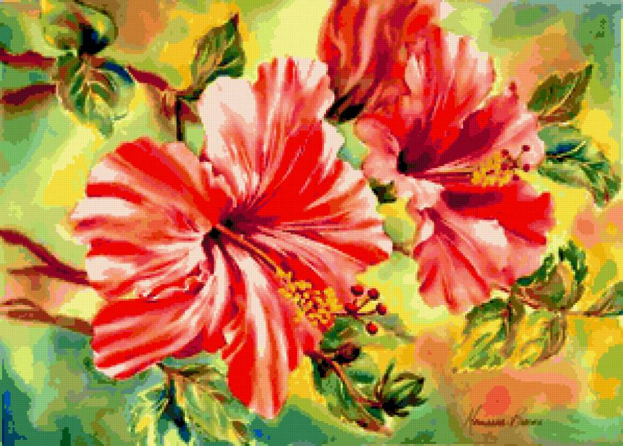 гибискус 26 - предпросмотр