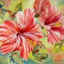 Схема вышивки «гибискус 26»