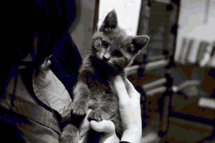 Girl - предпросмотр