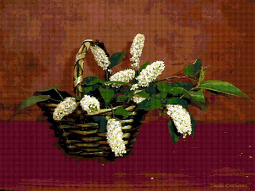 черемуха - букет, черемуха, цветы - предпросмотр