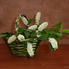 Схема вышивки «черемуха»