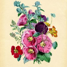 Схема вышивки «мальвы»