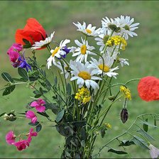 Схема вышивки «летний букет»