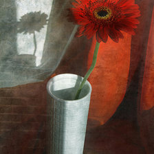 Схема вышивки «гербера»