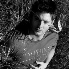 Схема вышивки «Дженсон Эклз»