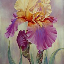 Схема вышивки «300456»