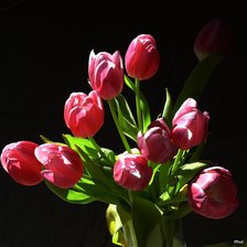 Схема вышивки «тюльпаны»