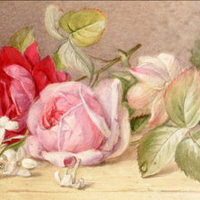 Схема вышивки «розы»