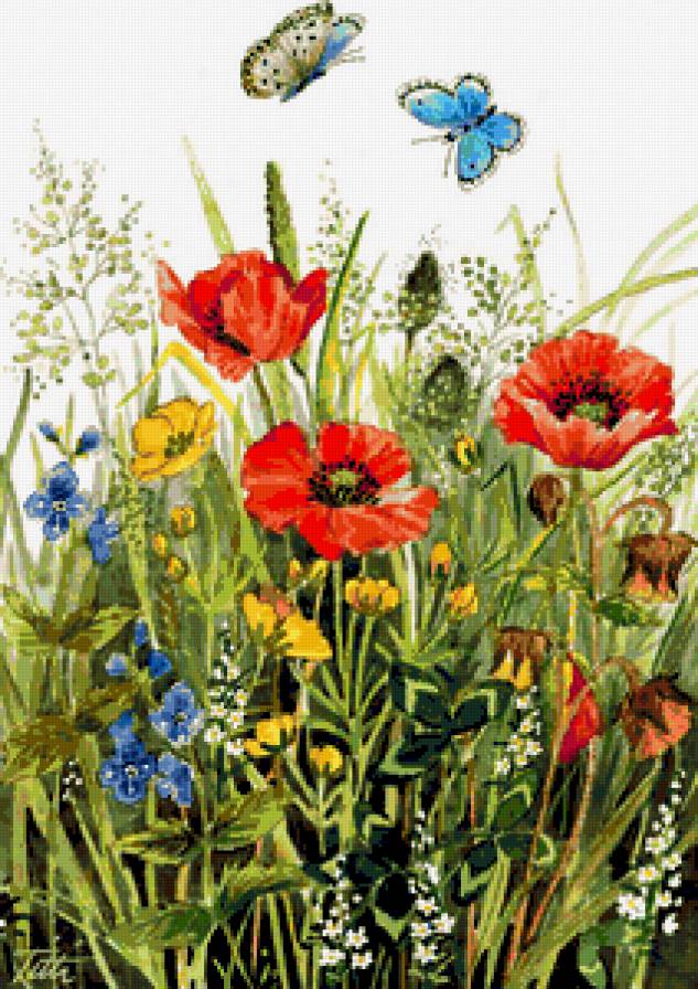 Лето - колокольчики, маки, полевые цветы, лето, цветы, бабочки - предпросмотр