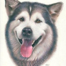 Схема вышивки «№320109»