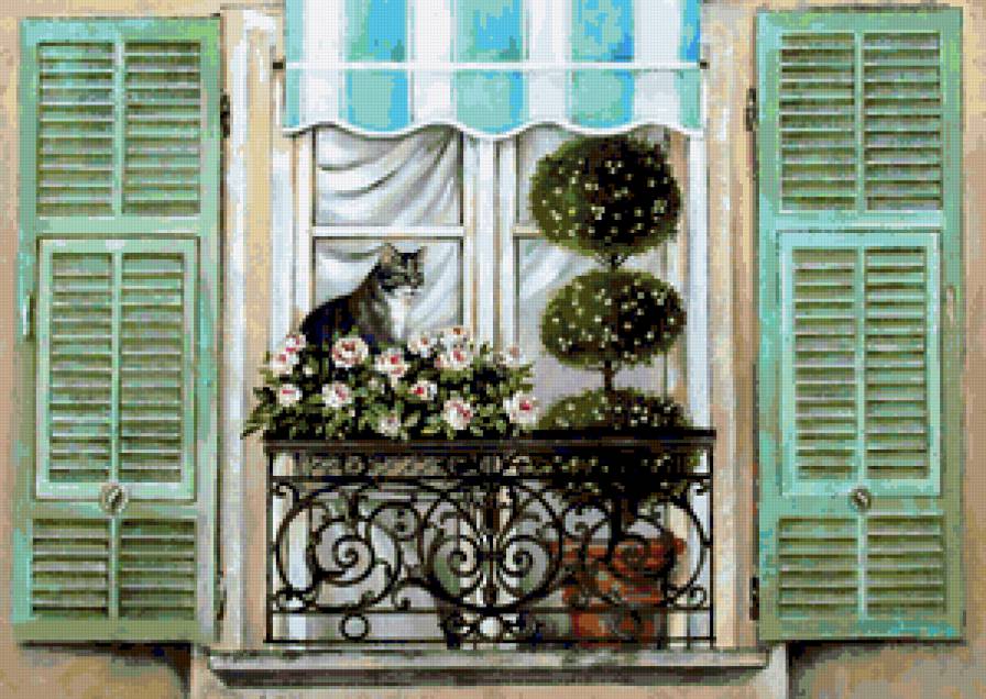 Окно - искусство, окна, цветы, розы, красота, кот, окно - предпросмотр