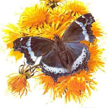 Схема вышивки «№320338»