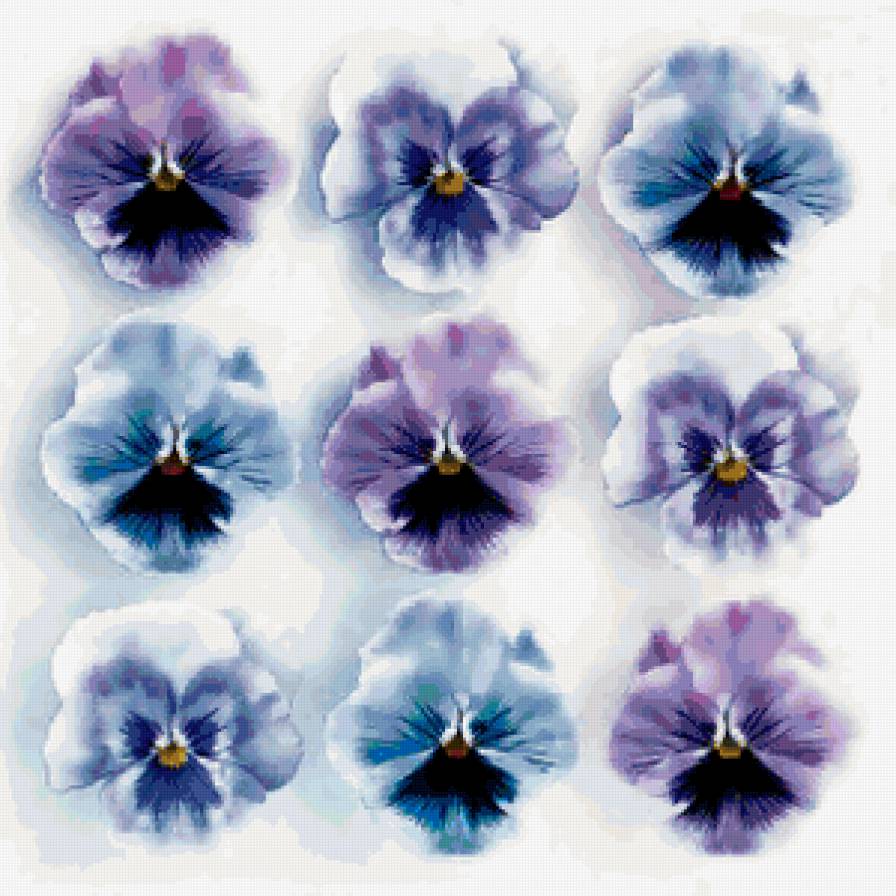 Анютины Глазки - анютины глазки, цветы - предпросмотр