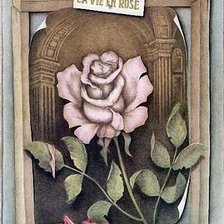 Схема вышивки «Сандра дель Прет.Роза»