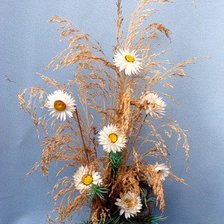 Схема вышивки «№320451»