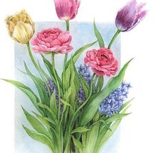 дыхание лета