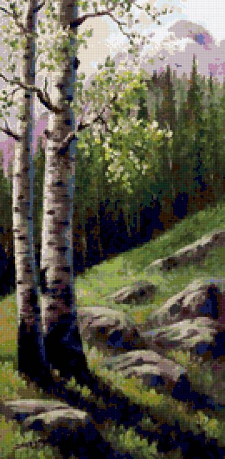 березки - предпросмотр