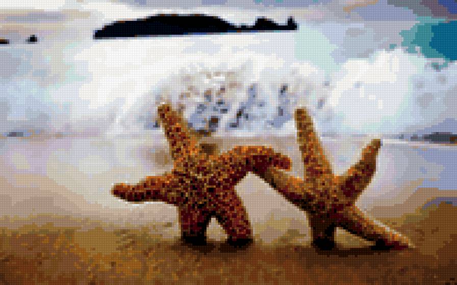 морские звёзды - предпросмотр