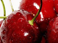 Схема вышивки «Вишня»