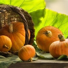 Схема вышивки «натюрморт»