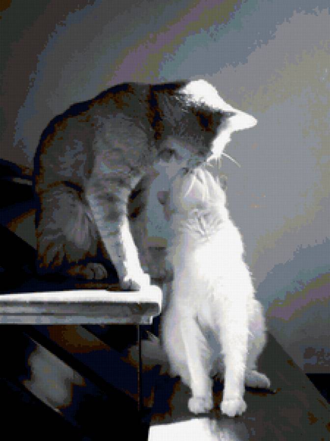 любовь - нежность, коты, любовь - предпросмотр