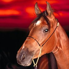 Схема вышивки «№320745»