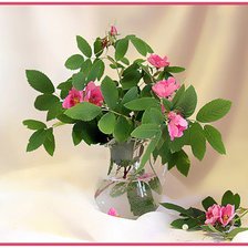 Схема вышивки «№320814»