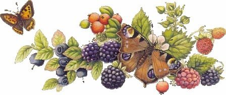 №320926 - оригинал