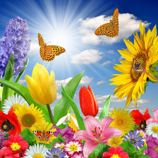 Схема вышивки «цветы»