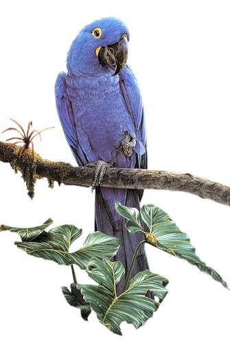 №320962 - оригинал