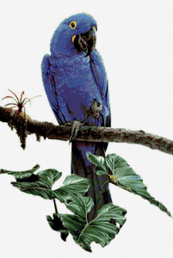 №320962 - предпросмотр