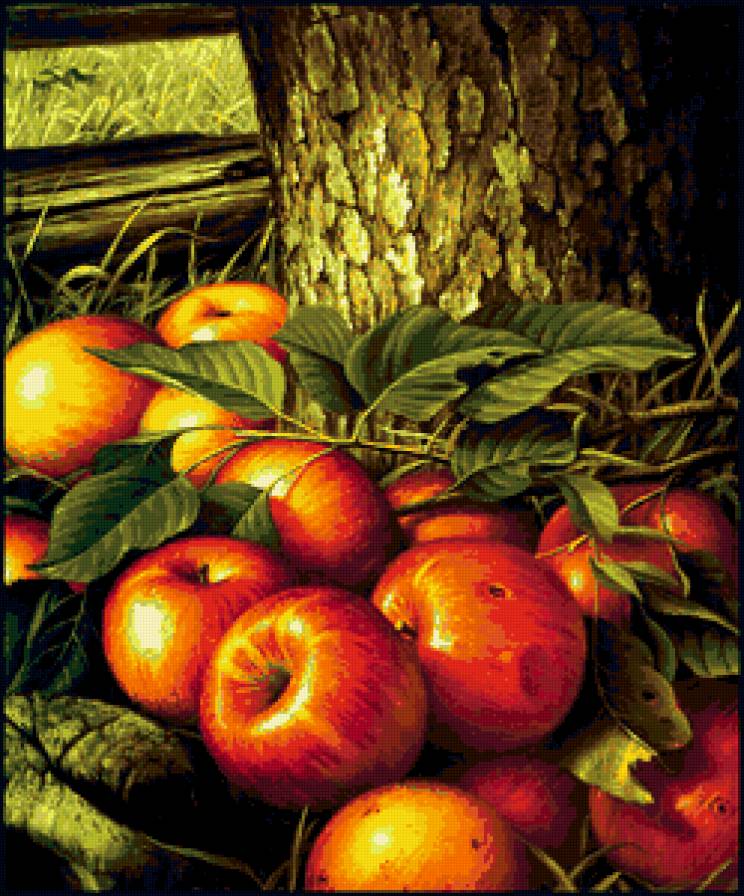 яблоки - яблоки, природа, урожай - предпросмотр