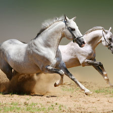 Схема вышивки «№321218»