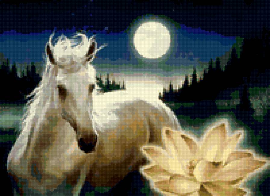 Лунная соната - красота - предпросмотр