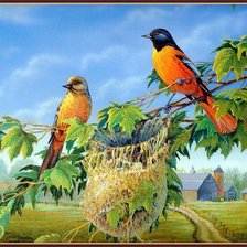 Схема вышивки «Ткачики на гнезде»