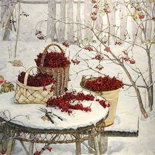 Схема вышивки «Зимняя рябина»