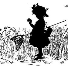 Схема вышивки «Монохром»