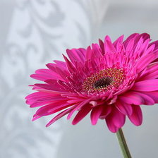 Схема вышивки «геобера»