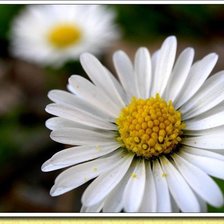 Схема вышивки «№321574»