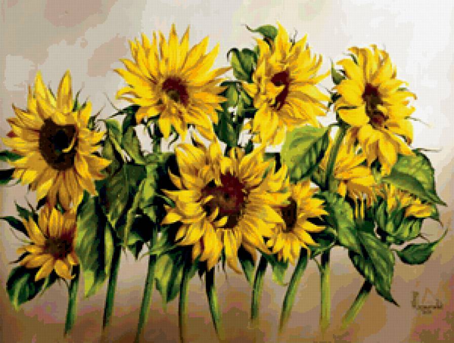 подсолнухи - подсолнухи - предпросмотр