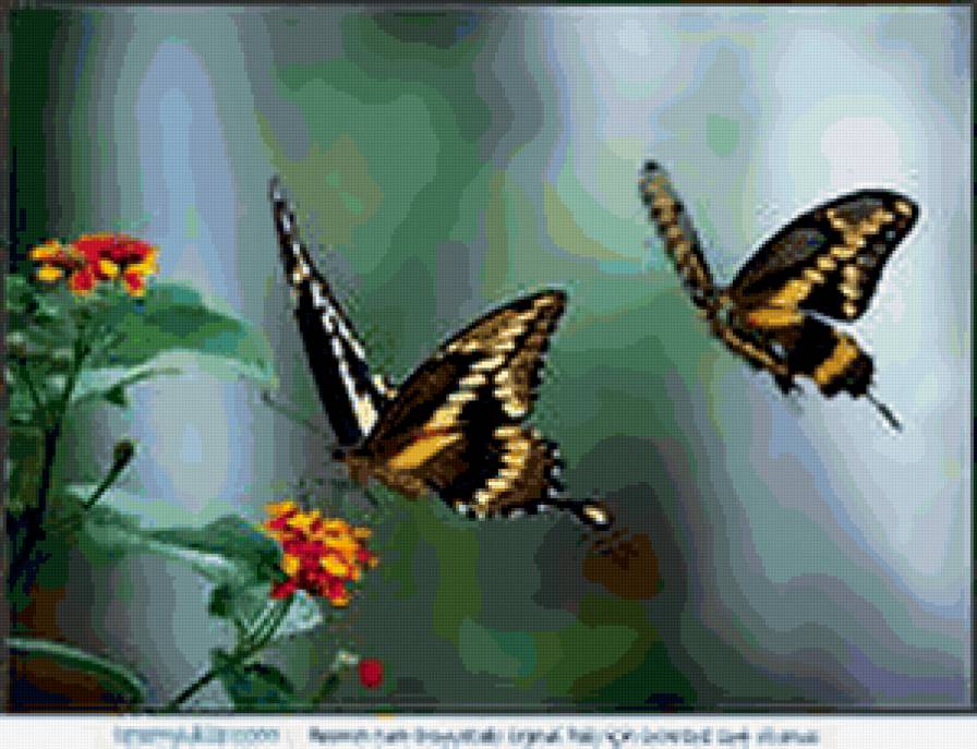 №321591 - предпросмотр