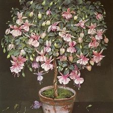 Схема вышивки «цветы в горшке»